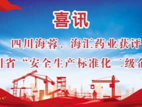 海蓉、海匯藥業(yè)獲評(píng)“安全生產(chǎn)標(biāo)準(zhǔn)化二級(jí)企業(yè)”